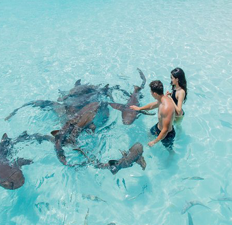 Bahamas Yacht Charters Luxury Boat Rentals